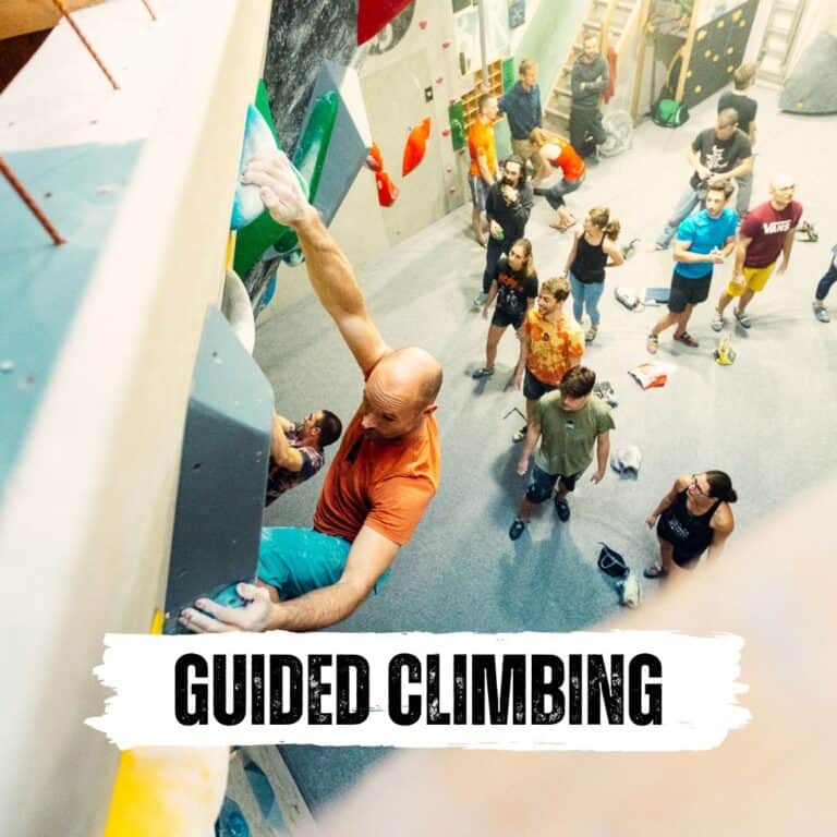 Climbing for Adults