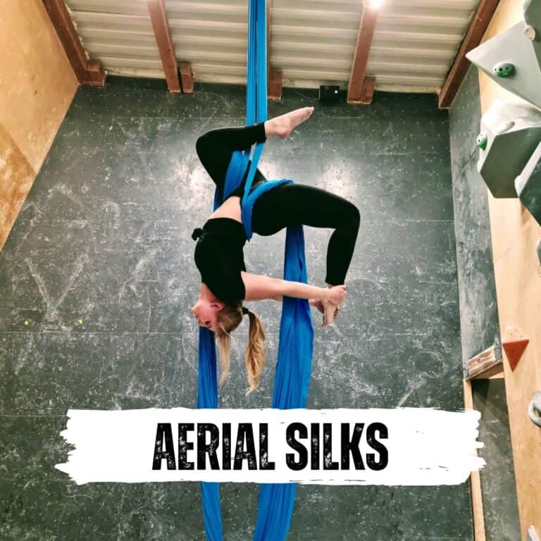 Aerial Silks